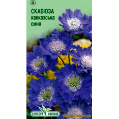 Семена - СКАБИОЗА КАВКАЗСКАЯ СИНЯЯ, 10 шт. Семена - СКАБИОЗА КАВКАЗСКАЯ СИНЯЯ, 10 шт.
