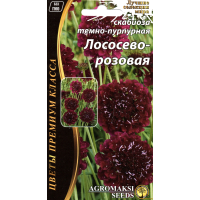 Семена - СКАБИОЗА ПУРПУРНАЯ ЛОСОСЕВО - РОЗОВАЯ, 0,1 г.