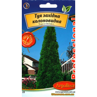 Семена - ТУЯ ЗАПАДНАЯ КОЛОНОВИДНАЯ, 3 г
