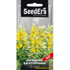 Насіння - ВЕРБІЙНИК Багатолітній, 0,1 г Насіння - ВЕРБІЙНИК Багатолітній, 0,1 г