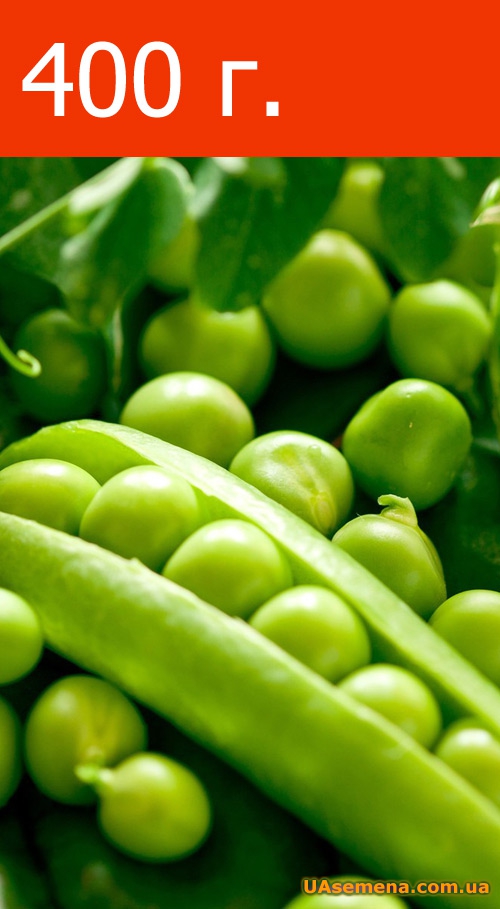 Семена на вес - Горох ДЖОФ, 400 г.